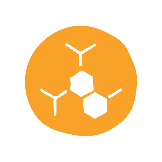  Alpha Arbutin 